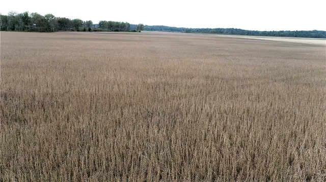 $2,371,500 | 412 Road De Witt Mo 64639, Carrollton, MO 64633