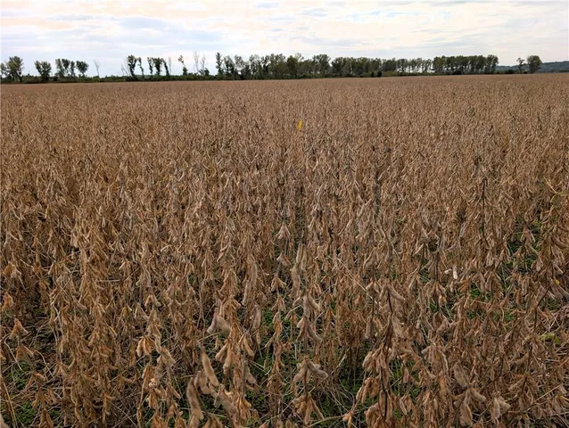 $2,371,500 | 412 Road De Witt Mo 64639, Carrollton, MO 64633