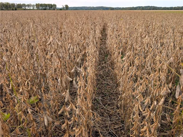 $2,371,500 | 412 Road De Witt Mo 64639, Carrollton, MO 64633