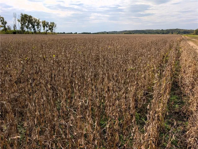 $2,371,500 | 412 Road De Witt Mo 64639, Carrollton, MO 64633