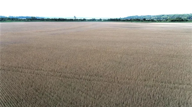 $2,371,500 | 412 Road De Witt Mo 64639, Carrollton, MO 64633