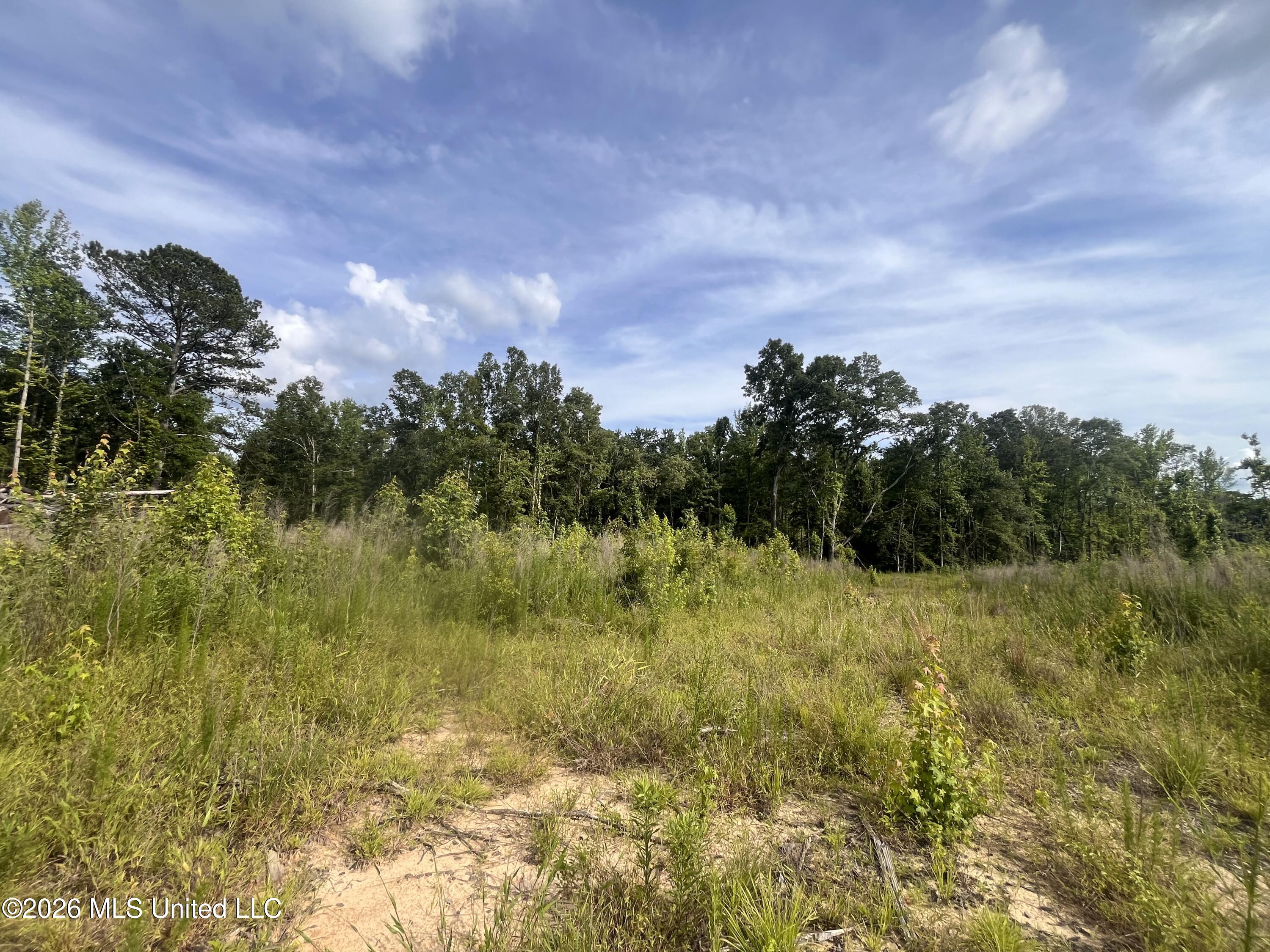 0 Pettey Road Forest, MS 39074 - Photo 8 of 15 IMG_4077