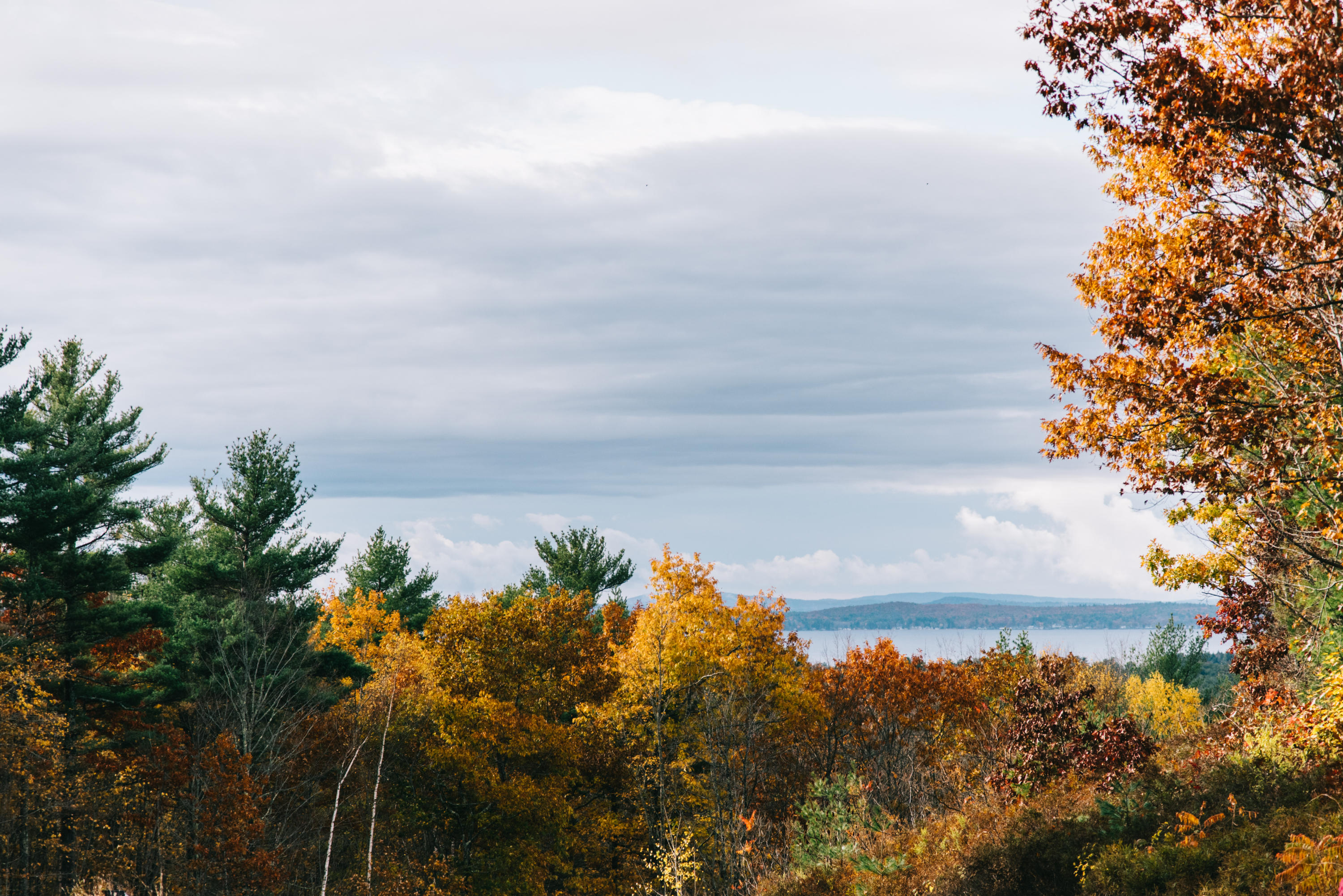91 Mitchell Road Casco, ME 04015 - Photo 80 of 81 Amazing views