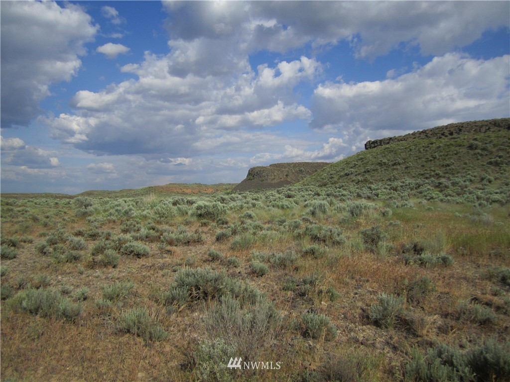 31 Eagle Springs Ranch Marlin, WA 98832 - Photo 3 of 7