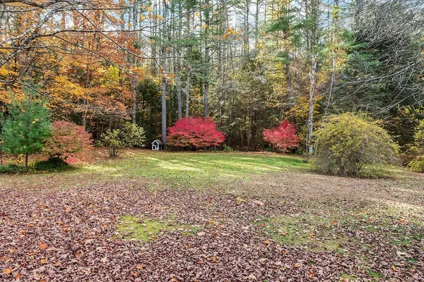 a view of a field with trees in the background