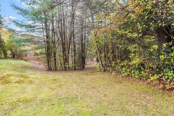 a view of large trees with yard