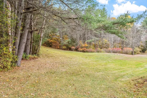 a view of a yard with an trees
