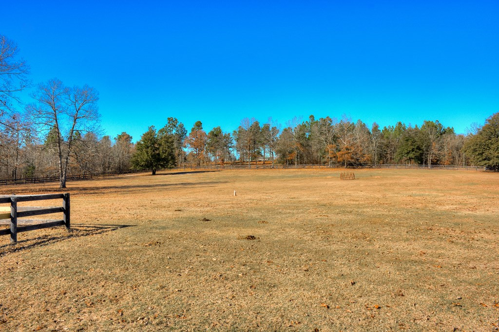 448 Long Cane Road Williston, SC 29853 - Photo 18 of 53