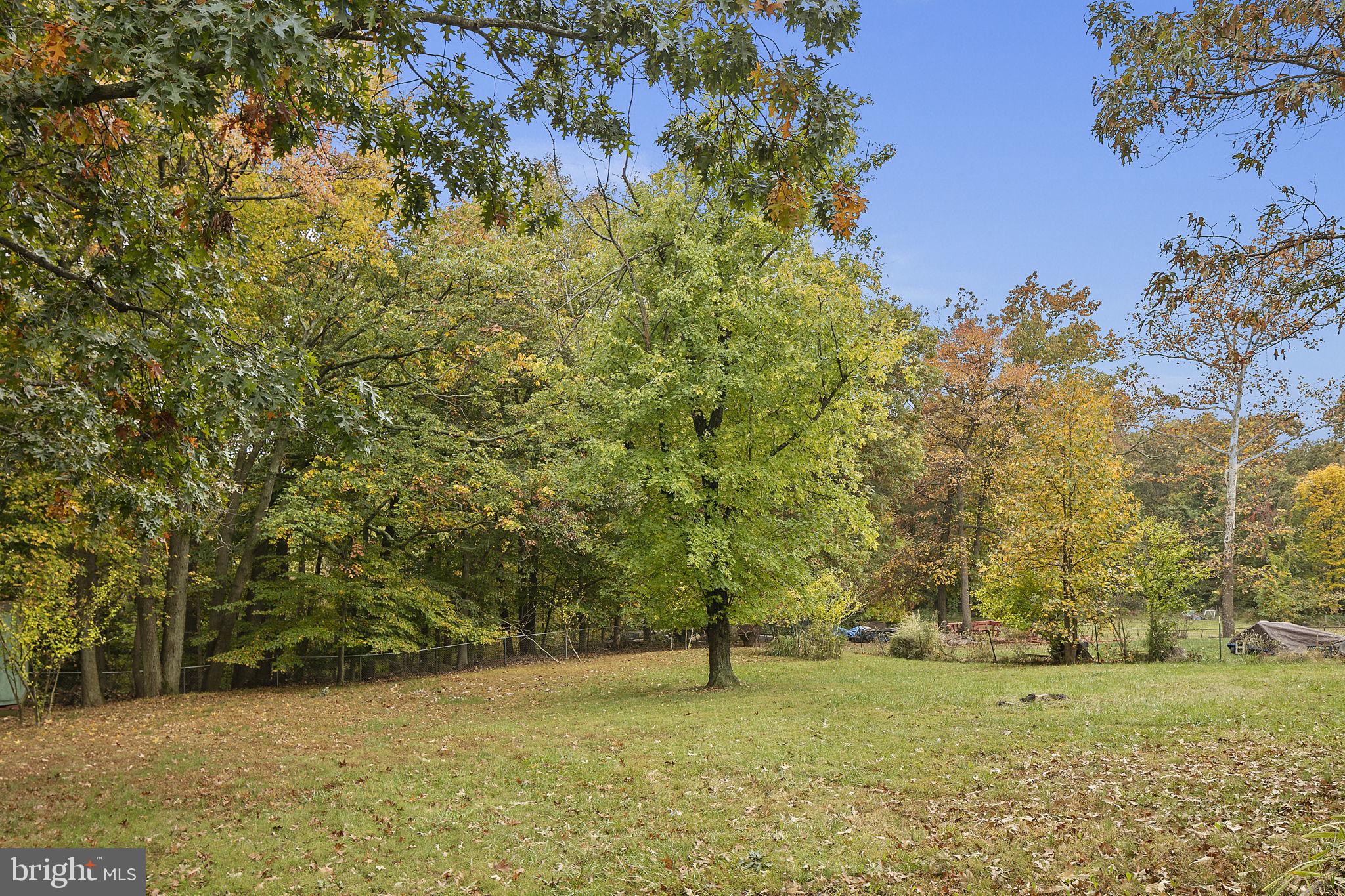 1711 Owens Road Oxon Hill, MD 20745 - Photo 2 of 37