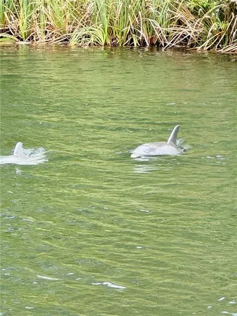 a view of a ocean view