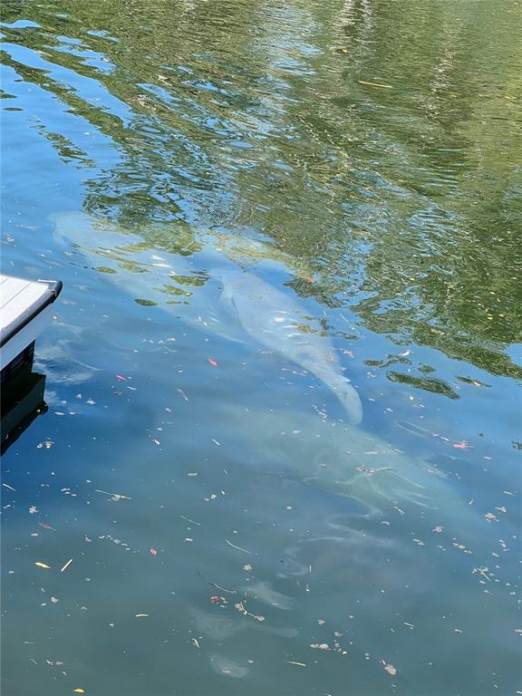 7266 Tropical Drive Weeki Wachee, FL 34607 - Photo 37 of 38