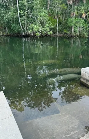 a view of a lake view