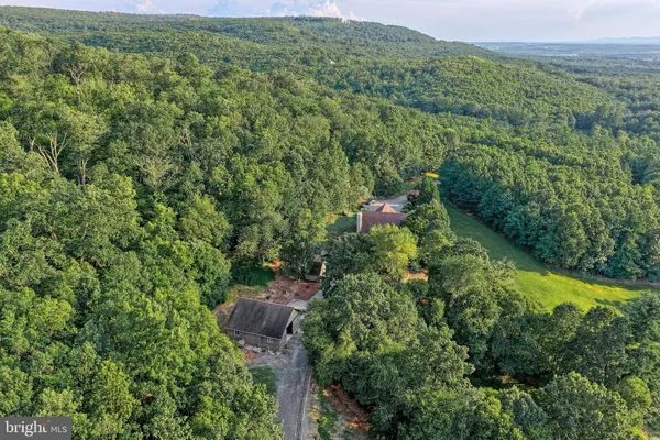 an aerial view of a house with a yard and large trees