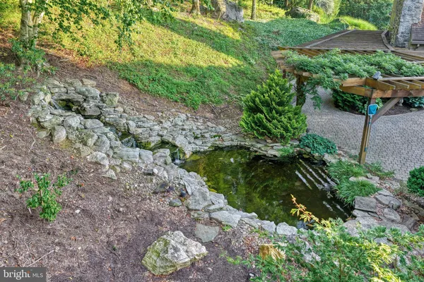 a view of a backyard with trees