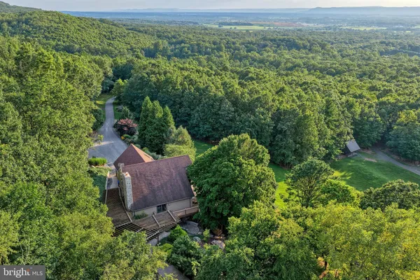a backyard of a house with large trees and barbeque oven