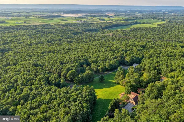 a view of a city with lush green forest