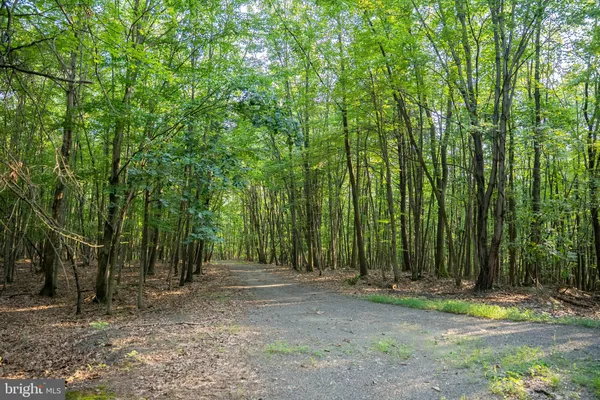 a view of entryway with wooden floor and a rug