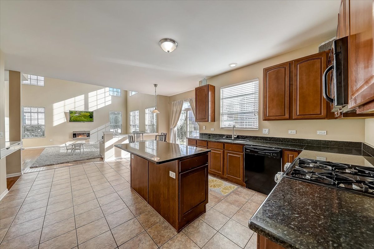 406 Aviary Lane Bolingbrook, IL 60490 - Photo 12 of 46 a kitchen with stainless steel appliances granite countertop a stove a sink and a microwave