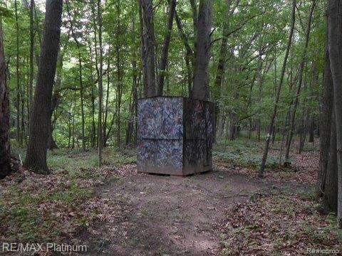 4300 Cullen Road Fenton, MI 48430 - Photo 42 of 43 SAM_3791.jpg