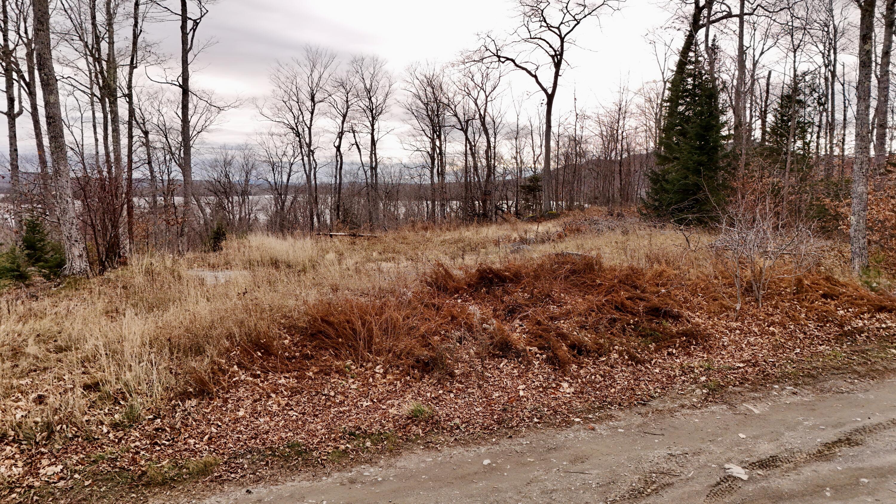 142 Oak Ridge Greenville Junction, ME 04442 - Photo 1 of 6 road view