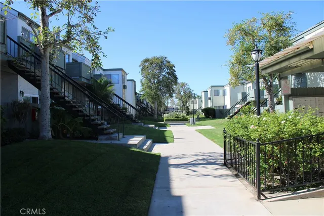 a view of a yard with plants