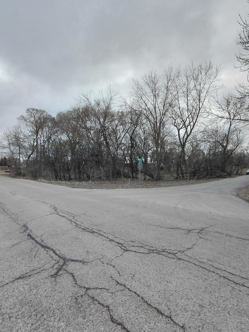 28331 West Main Street Wauconda, IL 60084 - Photo 3 of 10 a view of dirt field