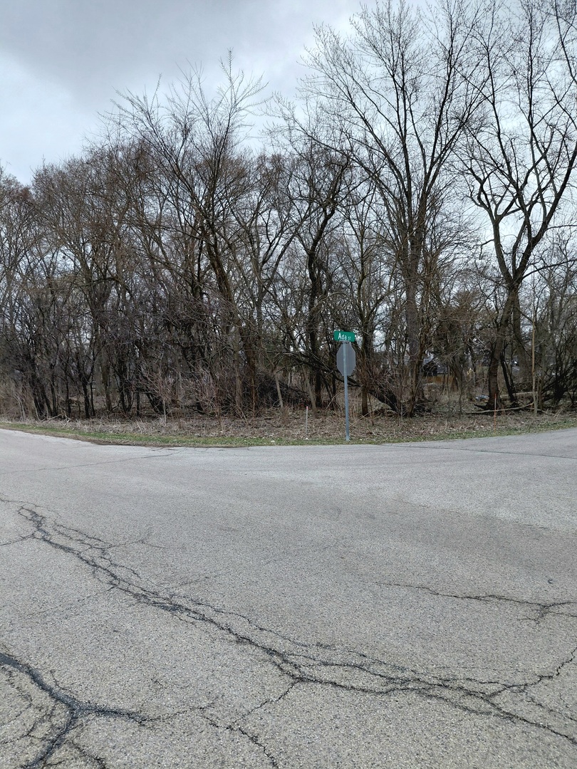28331 West Main Street Wauconda, IL 60084 - Photo 5 of 10 a view of a field with trees in front of it