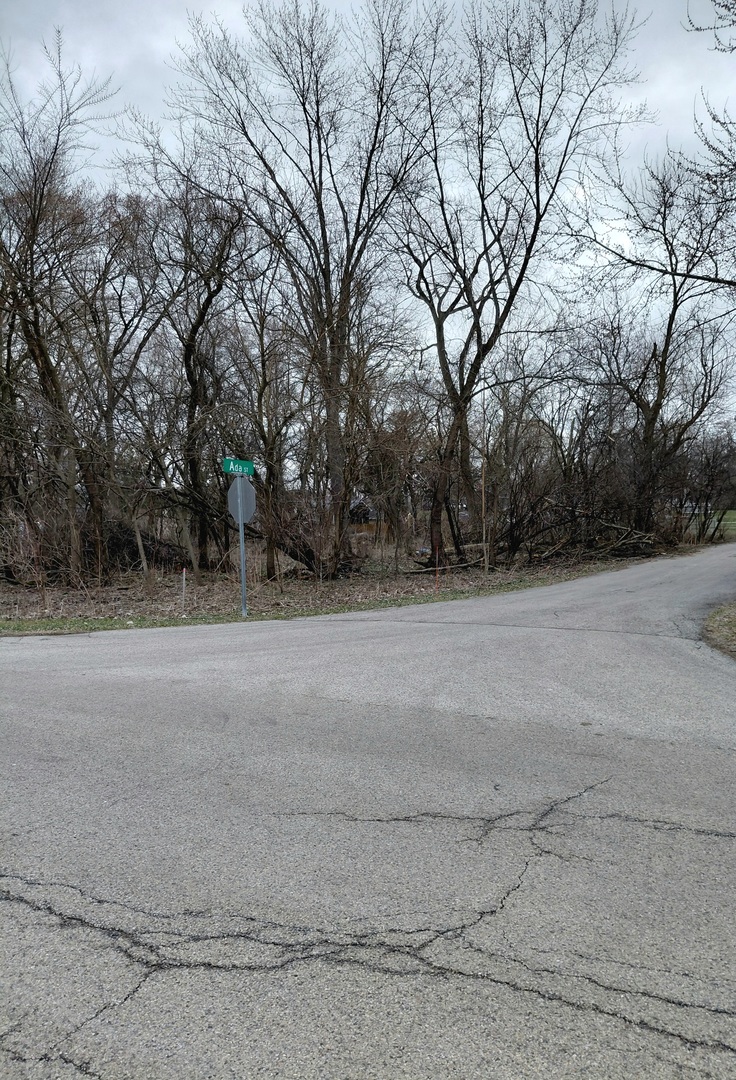 28331 West Main Street Wauconda, IL 60084 - Photo 6 of 10 a view of a field with trees in the background