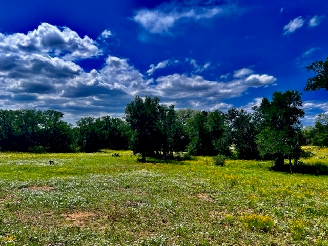 7785 Ranch Road 2241 Bluffton, TX 78607 - Photo 38 of 47 Gallery Image 38