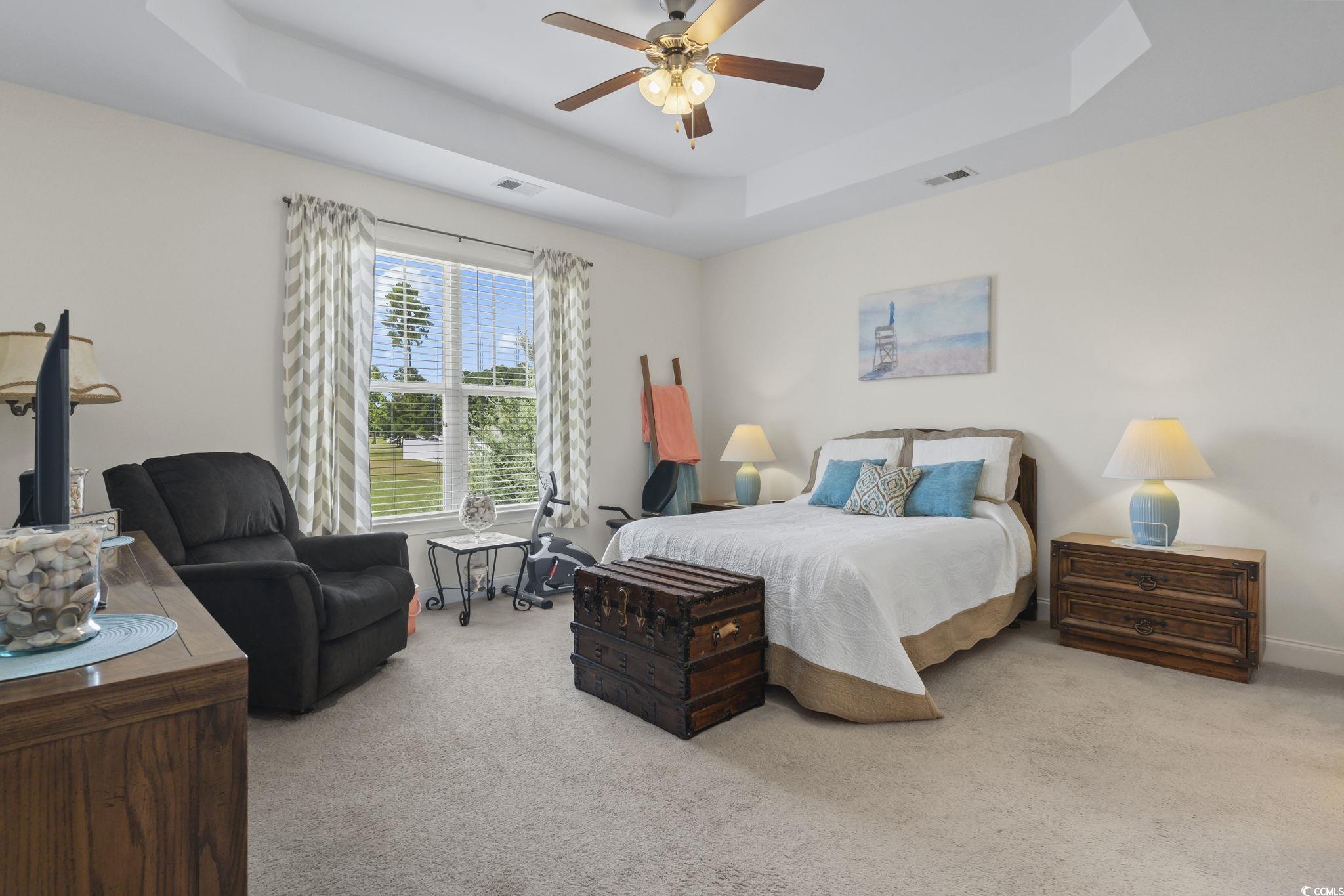 120 Stonehinge Court Conway, SC 29526 - Photo 16 of 31 Bedroom with a raised ceiling, ceiling fan, and li