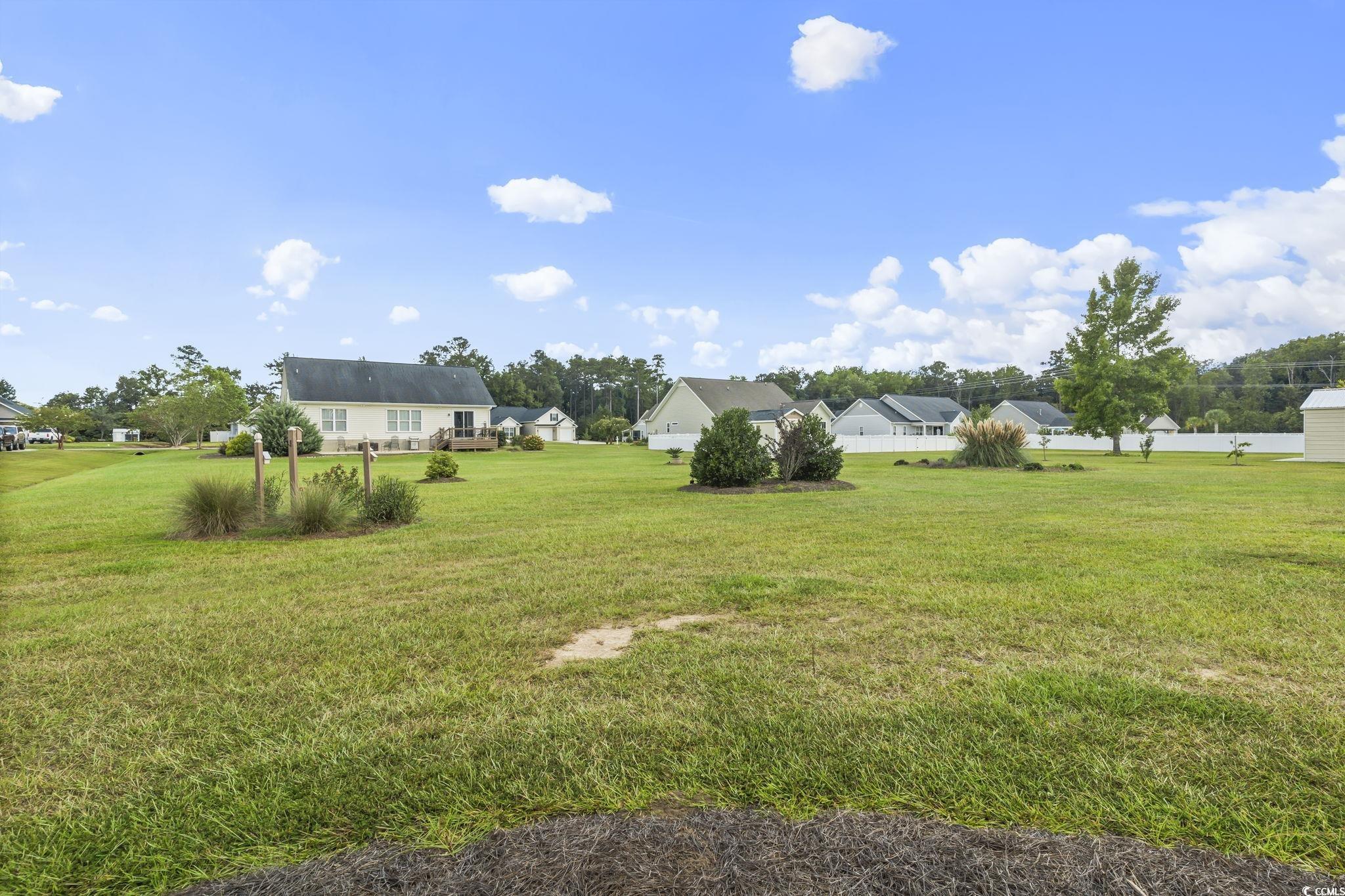 120 Stonehinge Court Conway, SC 29526 - Photo 27 of 31 View of yard