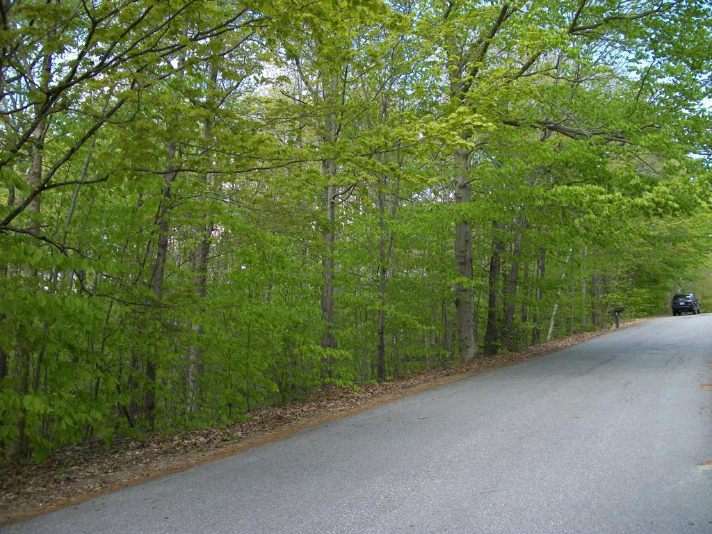 2-9 Mountain View Road Bristol, NH 03222 - Photo 2 of 19 Gallery Image 2