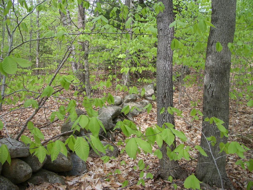 2-9 Mountain View Road Bristol, NH 03222 - Photo 11 of 19 Gallery Image 11