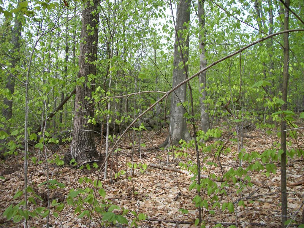 2-9 Mountain View Road Bristol, NH 03222 - Photo 10 of 19 Gallery Image 10