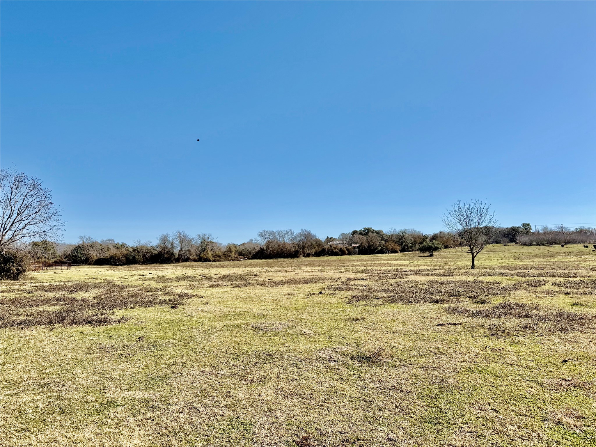 305 Ellen May Road Yoakum, TX 77995 - Photo 11 of 30 a view of an ocean