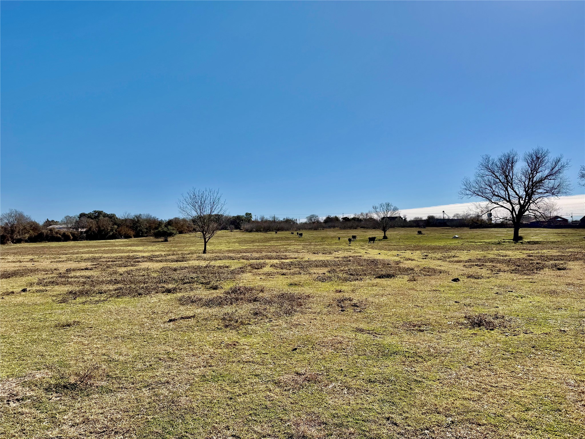 305 Ellen May Road Yoakum, TX 77995 - Photo 12 of 30 a view of an ocean