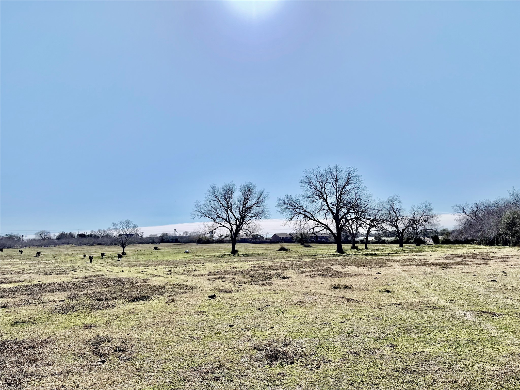 305 Ellen May Road Yoakum, TX 77995 - Photo 13 of 30 a view of a lake view