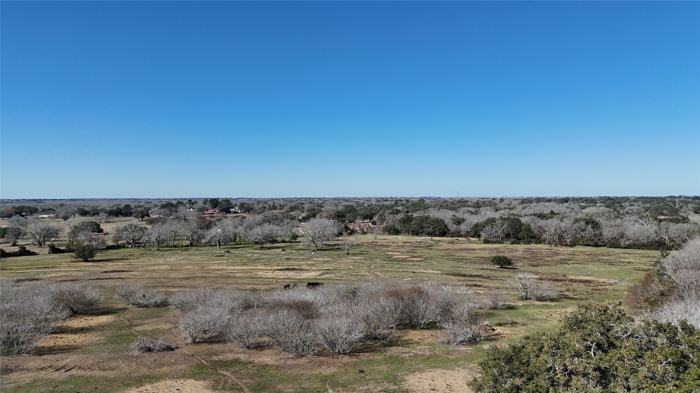 305 Ellen May Road Yoakum, TX 77995 - Photo 16 of 30 a view of a dry grass field