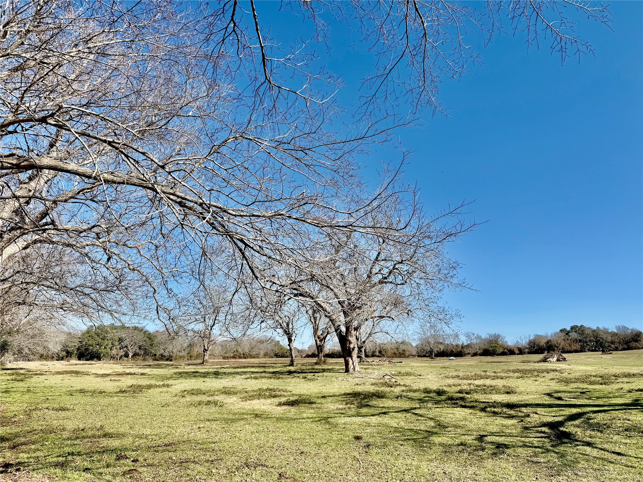 305 Ellen May Road Yoakum, TX 77995 - Photo 3 of 30 a view of a ocean with a beach