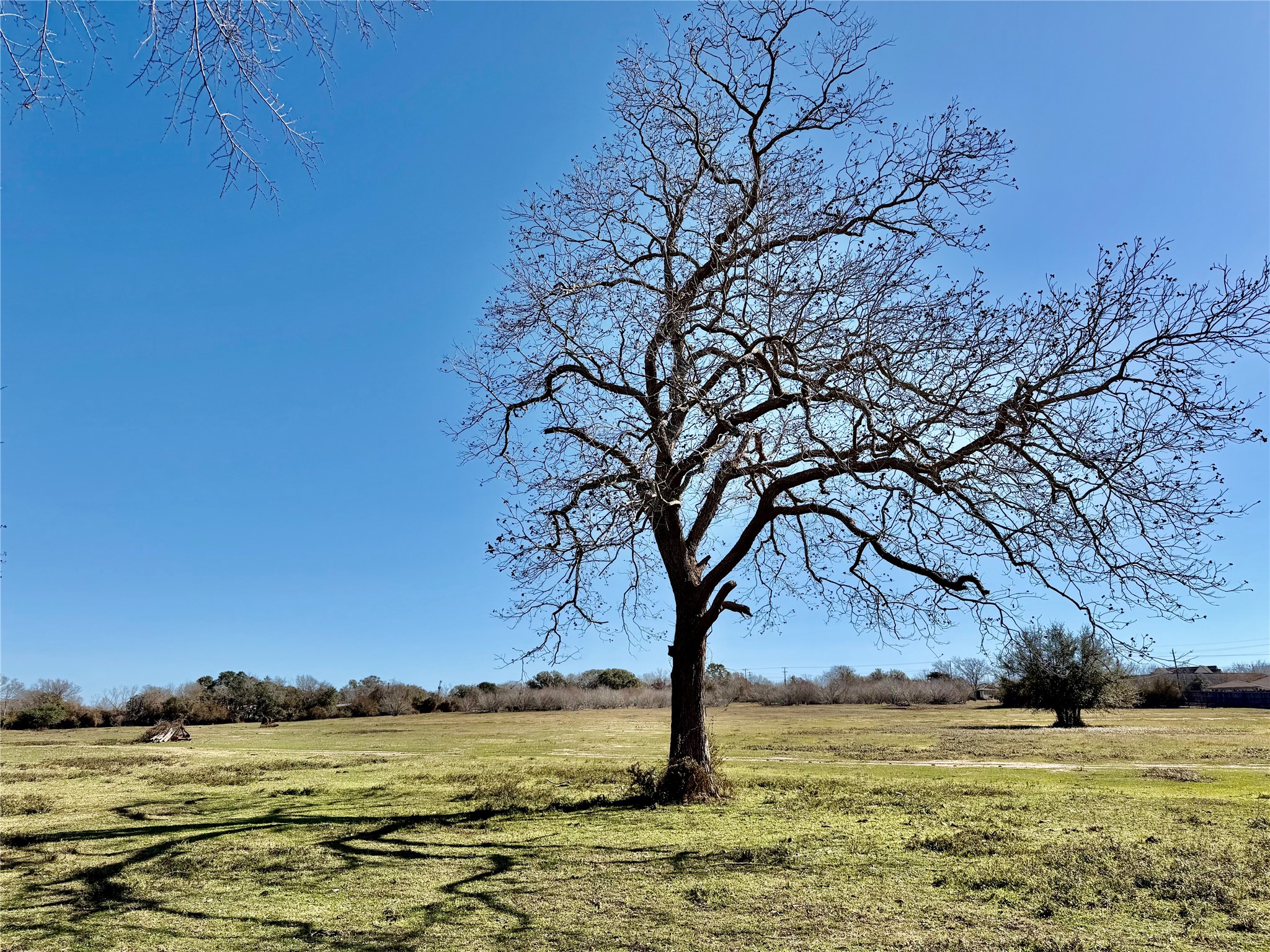 305 Ellen May Road Yoakum, TX 77995 - Photo 4 of 30 a view of an ocean