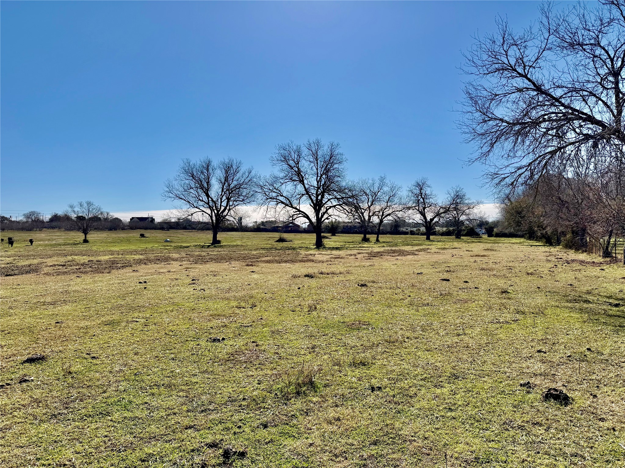 305 Ellen May Road Yoakum, TX 77995 - Photo 5 of 30 a view of a lake view