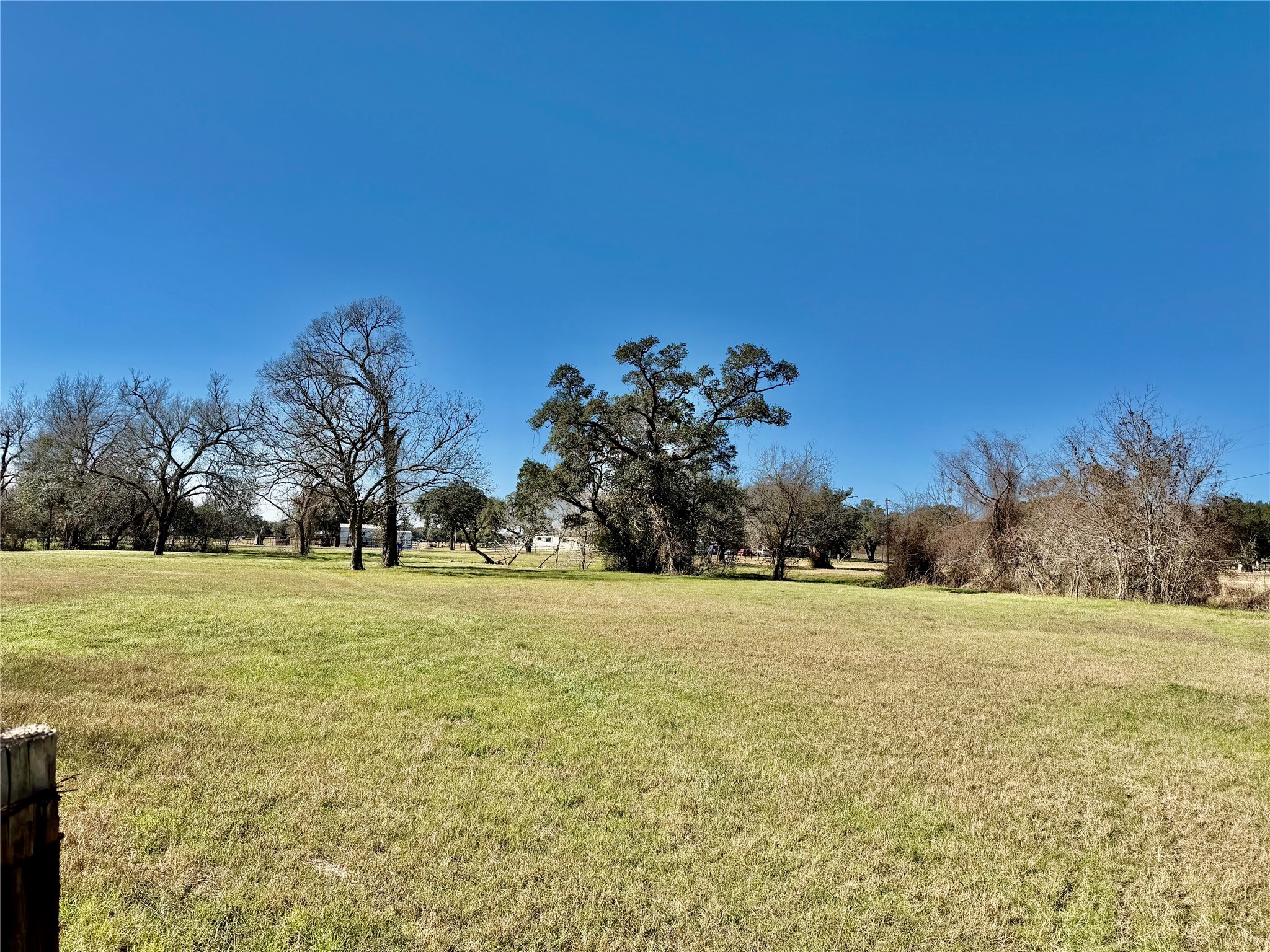 305 Ellen May Road Yoakum, TX 77995 - Photo 8 of 30 a view of big yard with a house