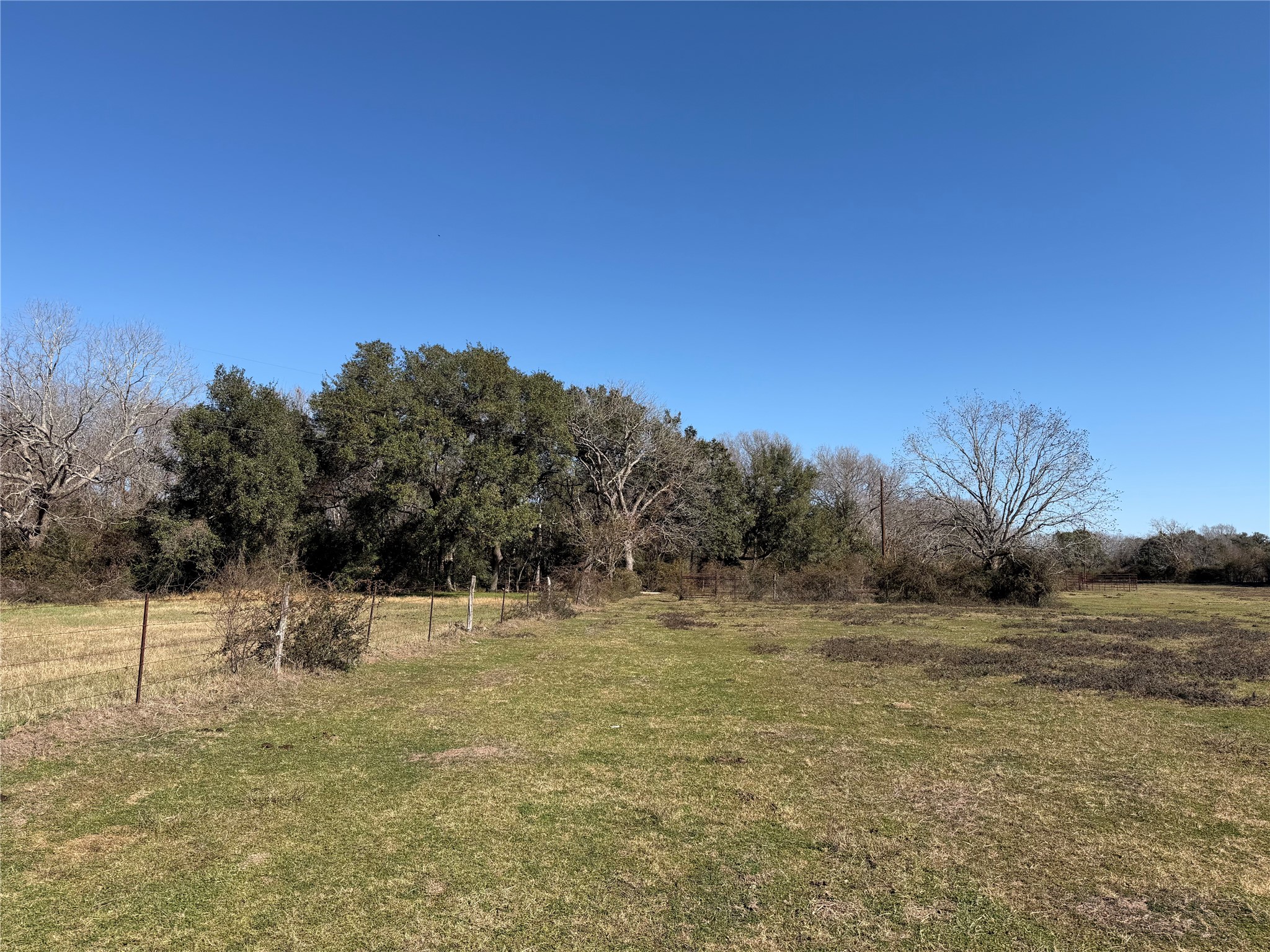 305 Ellen May Road Yoakum, TX 77995 - Photo 10 of 30 a view of a field with trees in background