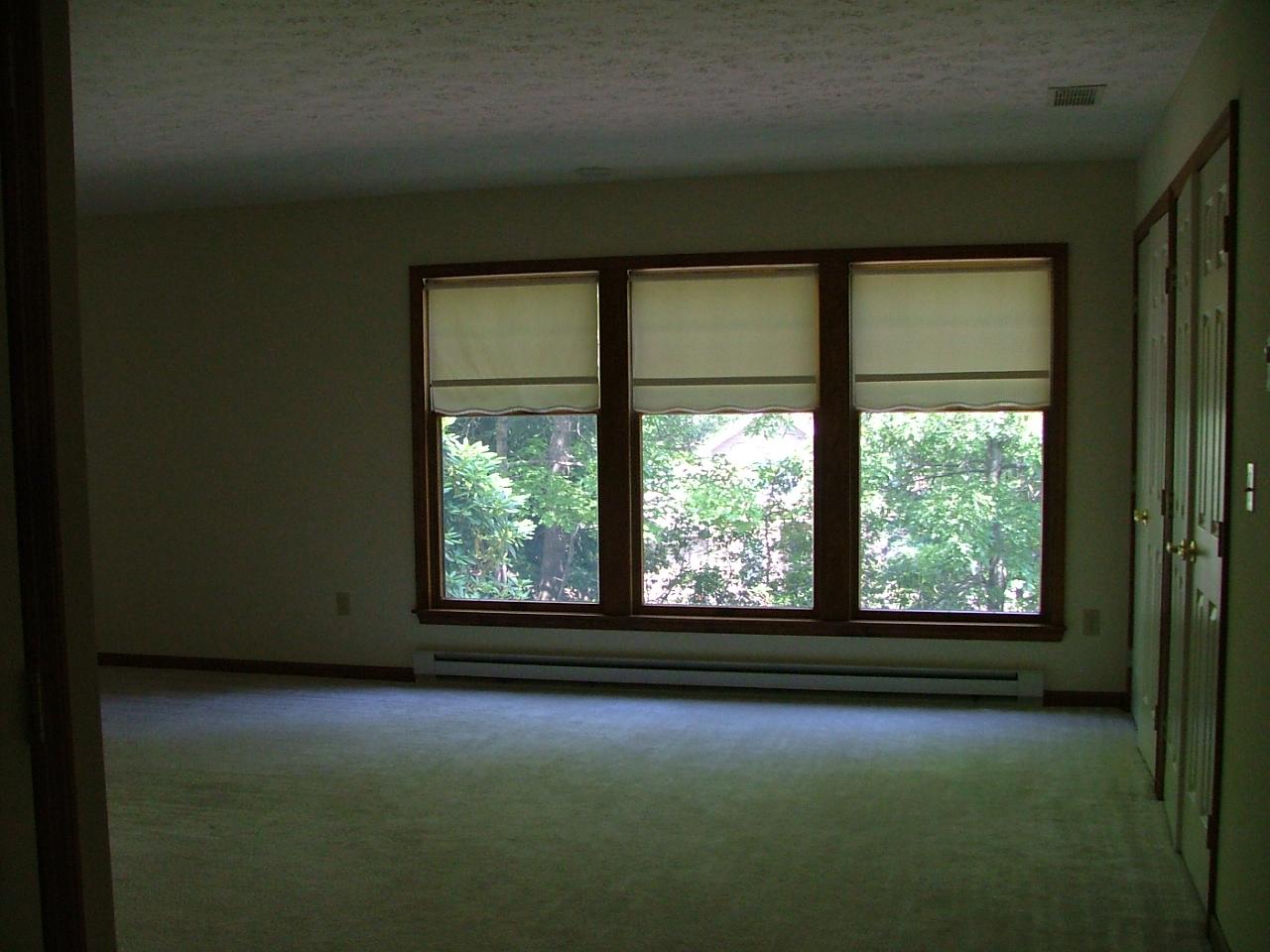 2-3 Upper Deer Valley Road Stroudsburg, PA 18360 - Photo 10 of 12 master bedroom