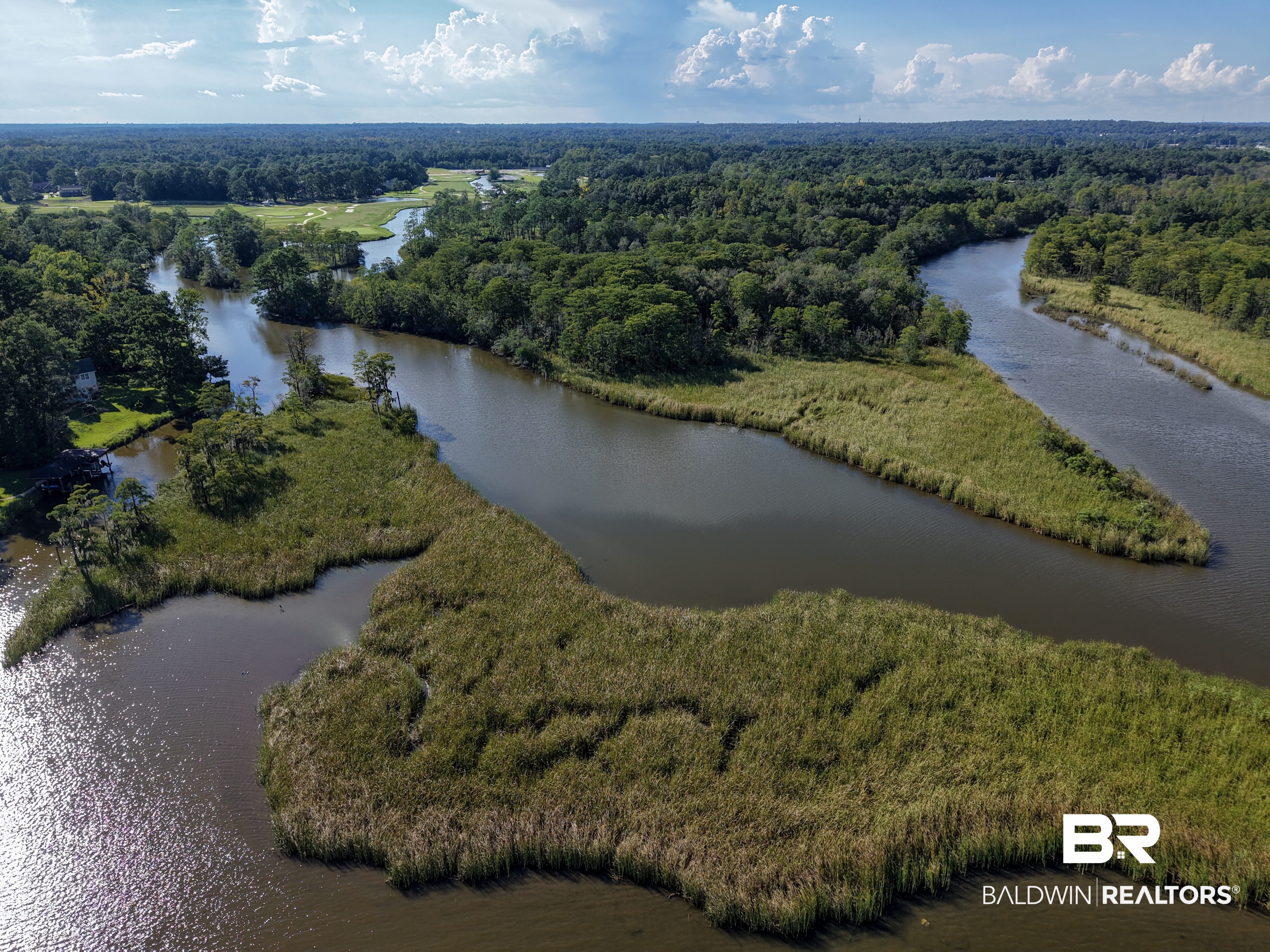 3415 North Riviere Du Chien Loop Mobile, AL 36693 - Photo 41 of 44 Ariel View