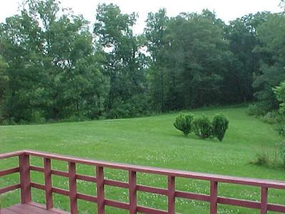 855 Oil Springs Road Winchester, KY 40391 - Photo 4 of 7 view from back deck