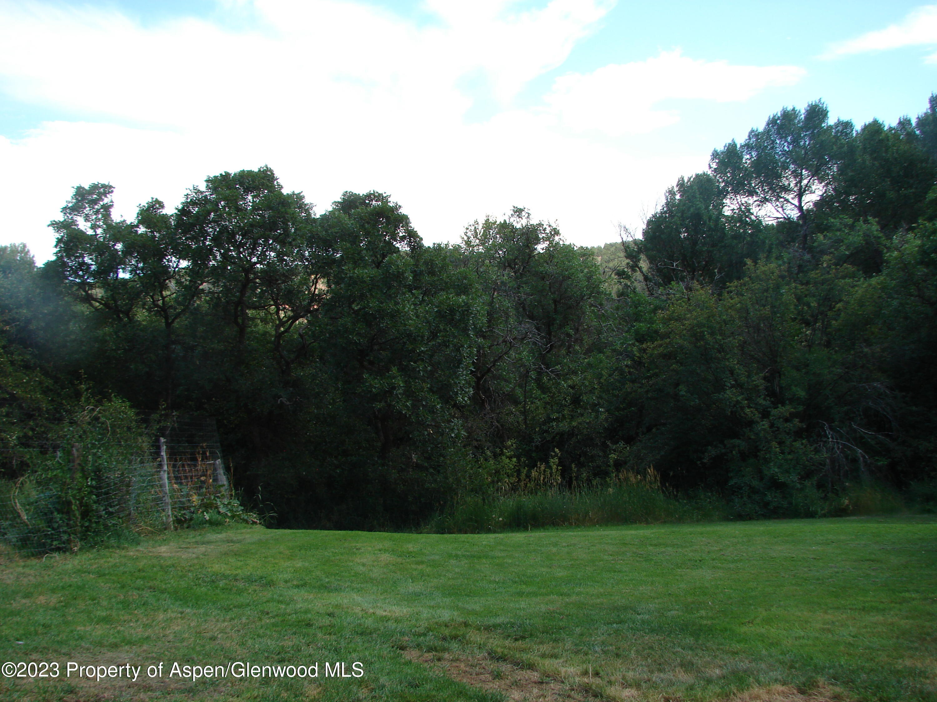60 Chelyn Road Glenwood Springs, CO 81601 - Photo 15 of 53 a view of a grassy field with trees