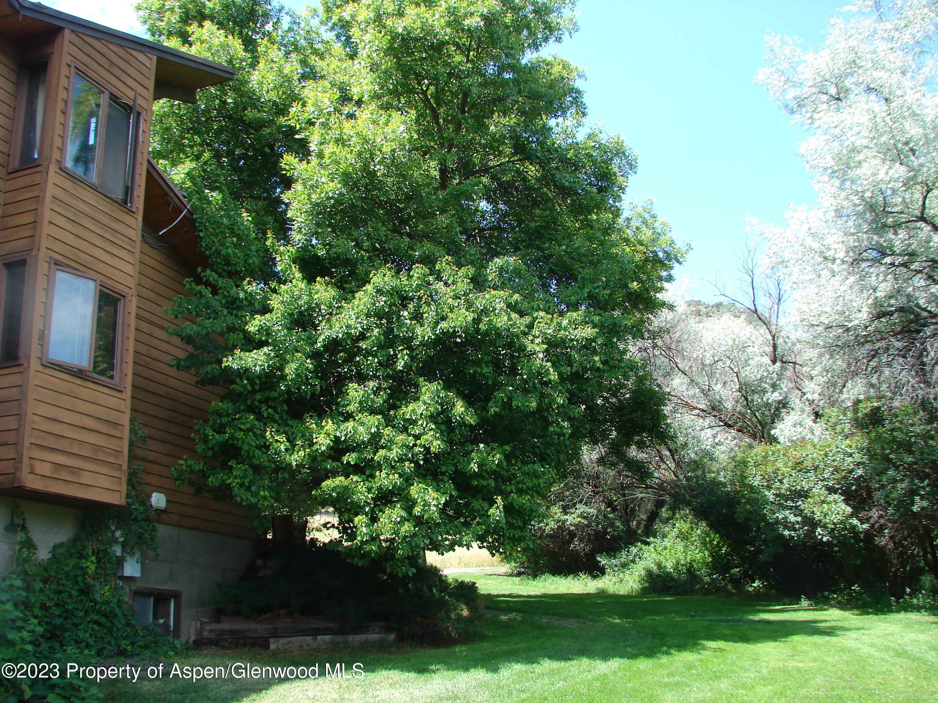 60 Chelyn Road Glenwood Springs, CO 81601 - Photo 18 of 53 a view of a yard with plants and large trees