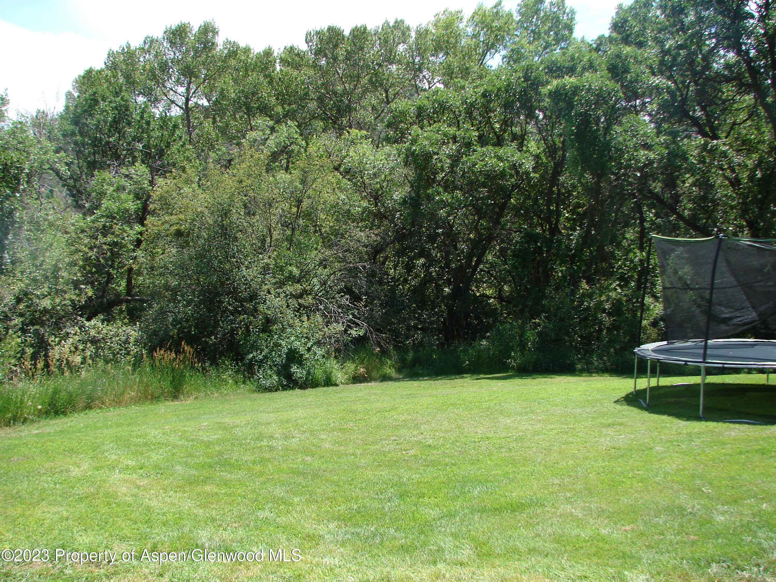 60 Chelyn Road Glenwood Springs, CO 81601 - Photo 19 of 53 a view of a backyard with a bench