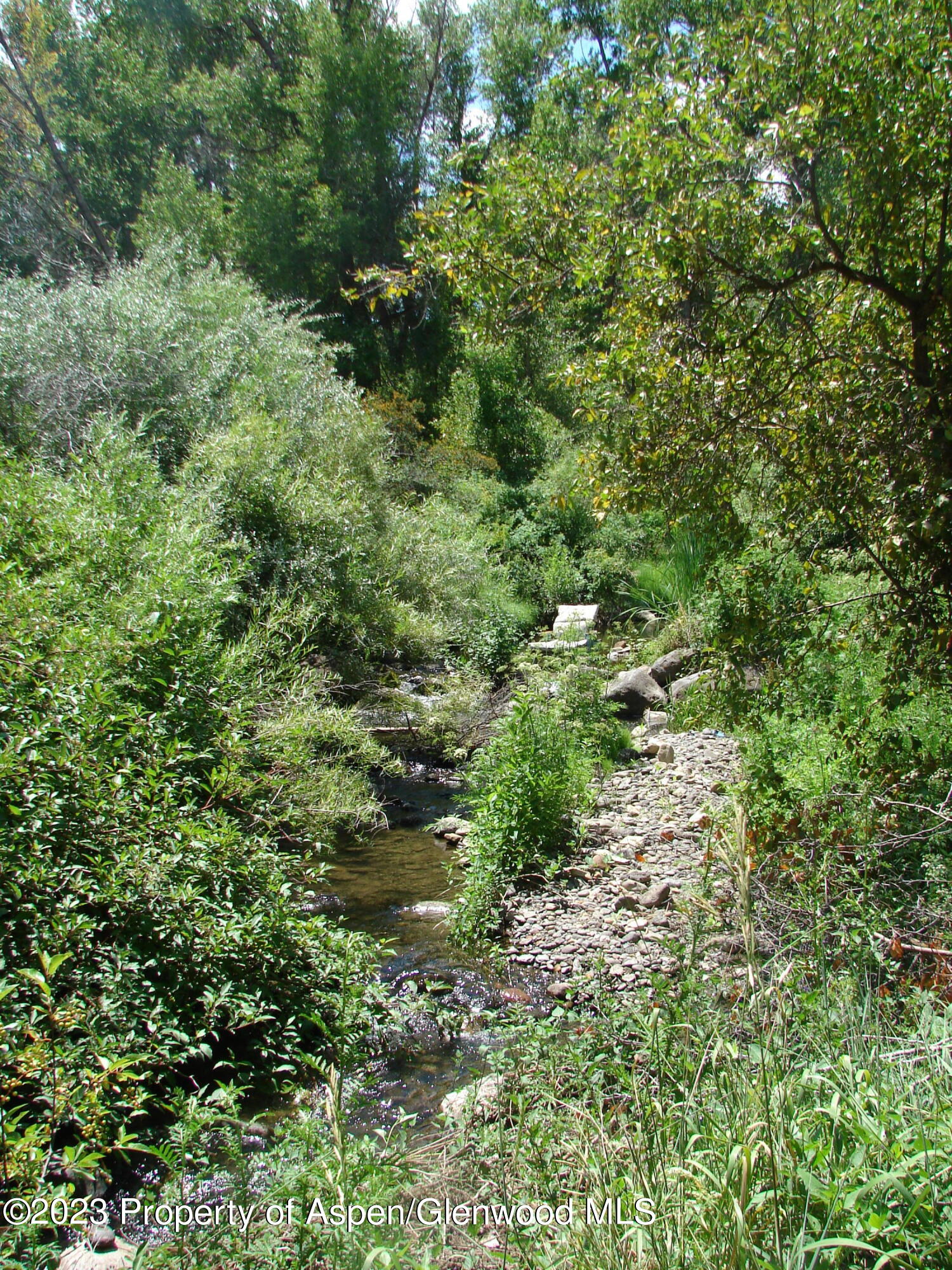 60 Chelyn Road Glenwood Springs, CO 81601 - Photo 23 of 53 a view of a lush green forest with houses